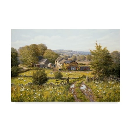 Bill Makinson 'Dale Farm' Canvas Art,30x47
